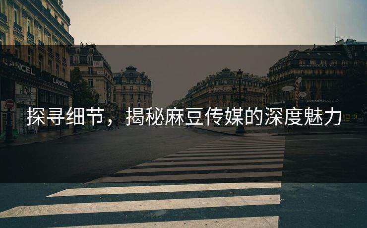 探寻细节，揭秘麻豆传媒的深度魅力  第1张