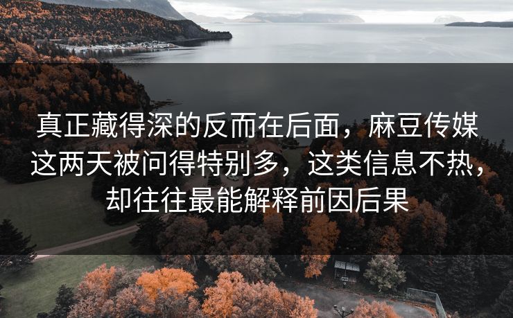 真正藏得深的反而在后面,麻豆传媒这两天被问得特别多,这类信息不热,却往往最能解释前因后果 第1张 真正藏得深的反而在后面,麻豆传媒这两天被问得特别多,这类信息不热,却往往最能解释前因后果 第1张