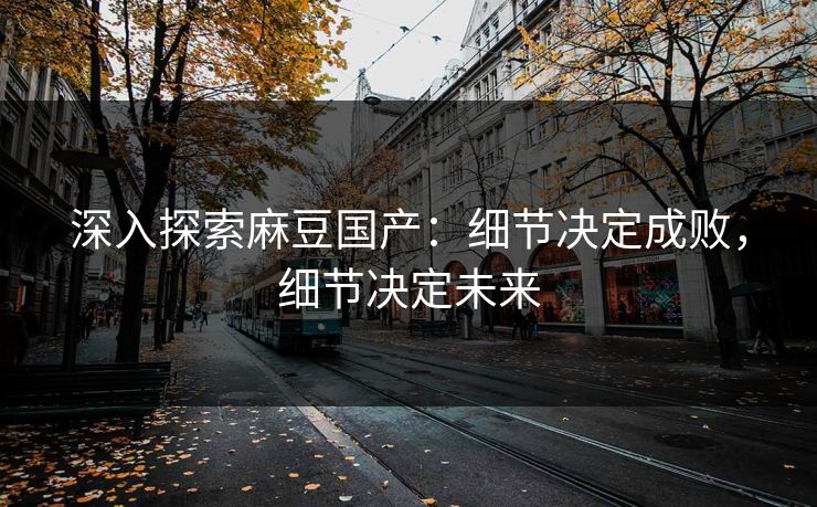深入探索麻豆国产:细节决定成败,细节决定未来 第1张 深入探索麻豆国产:细节决定成败,细节决定未来 第1张