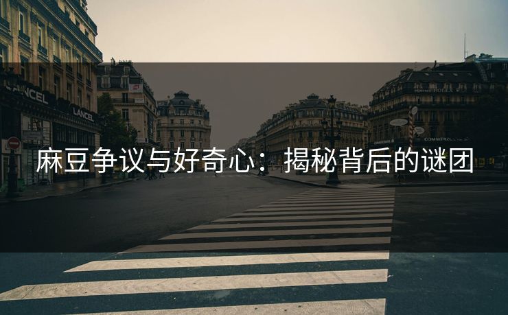 麻豆争议与好奇心:揭秘背后的谜团 第1张 麻豆争议与好奇心:揭秘背后的谜团 第1张