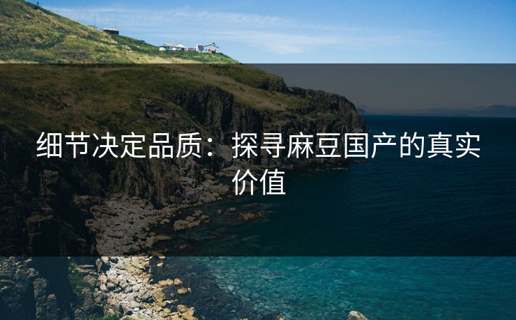 细节决定品质:探寻麻豆国产的真实价值 第1张 细节决定品质:探寻麻豆国产的真实价值 第1张