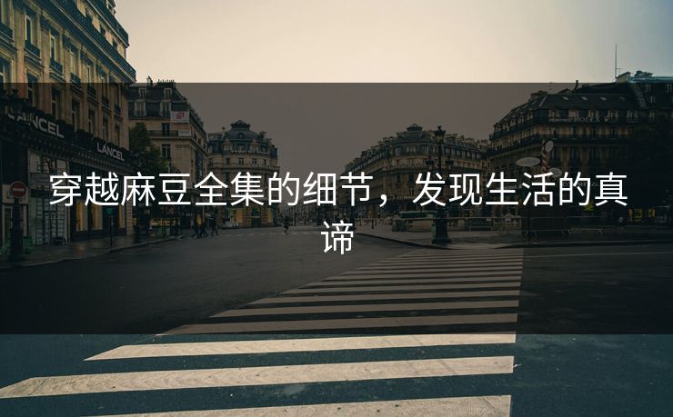 穿越麻豆全集的细节,发现生活的真谛 第1张 穿越麻豆全集的细节,发现生活的真谛 第1张